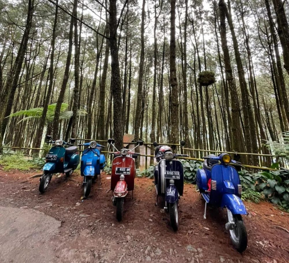 Info Wisata Gunung Bunder Bogor