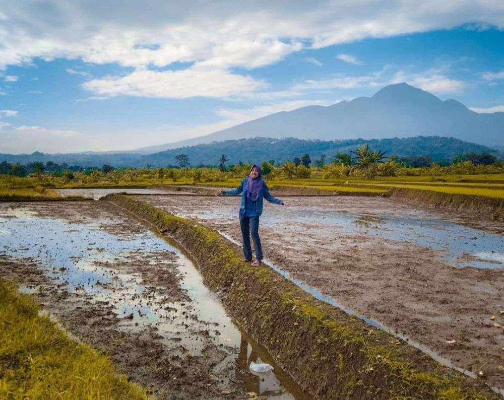 Info Wisata Gunung Bunder Bogor