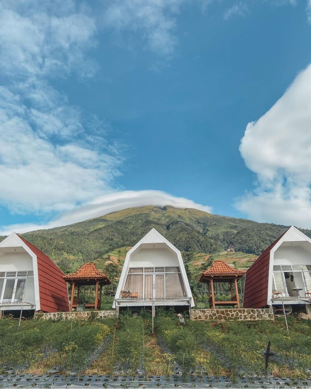 Pesona Silancur Highland, Tempat Camp dengan View Alam yang Eksotis