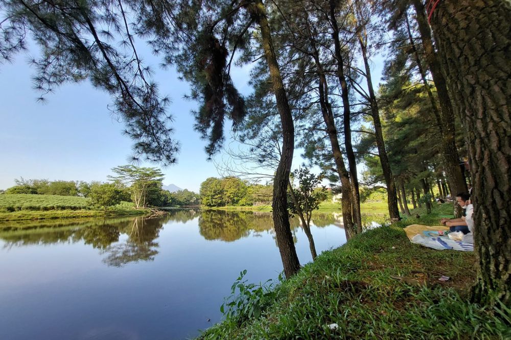 5 Rekomendasi Tempat Wisata Alam Tersembunyi di Bogor
