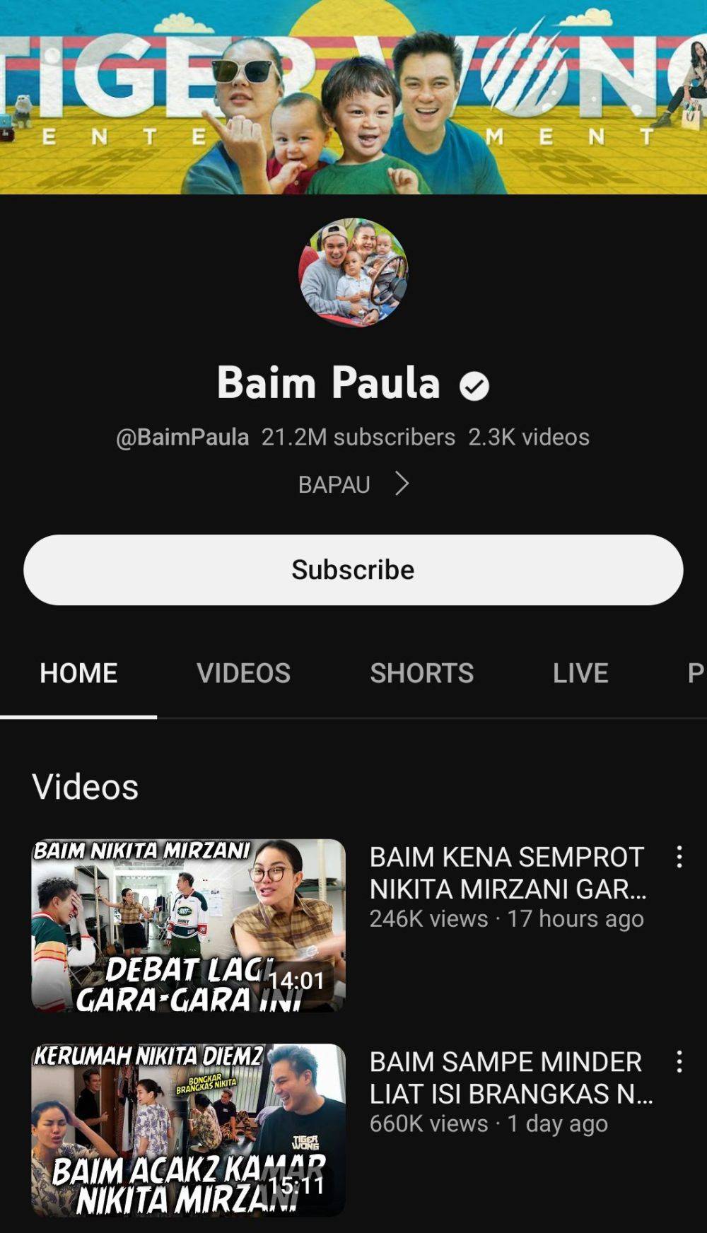 YouTuber Indonesia Dengan Subscriber Terbanyak