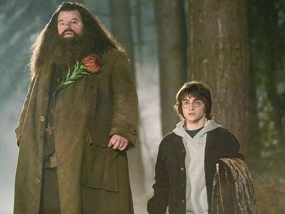 Nama Hewan Peliharaan Hagrid Laba Laba Raksasa