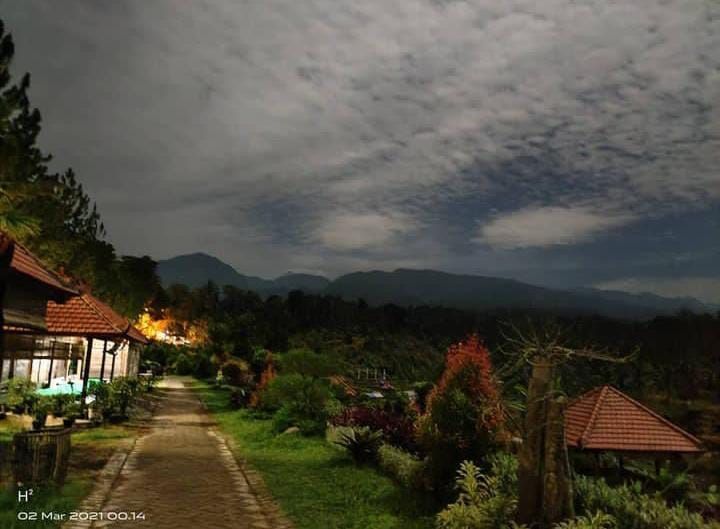 5 Wisata Dataran Tinggi di Jember, Udaranya Sejuk! 