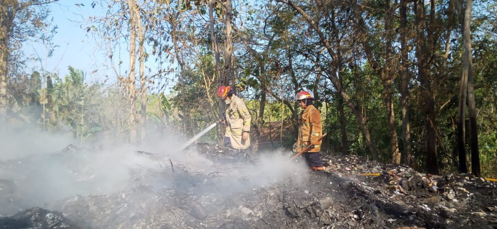 Warga Bakar Sampah, Lahan Jati di Guwosari Bantul Terbakar