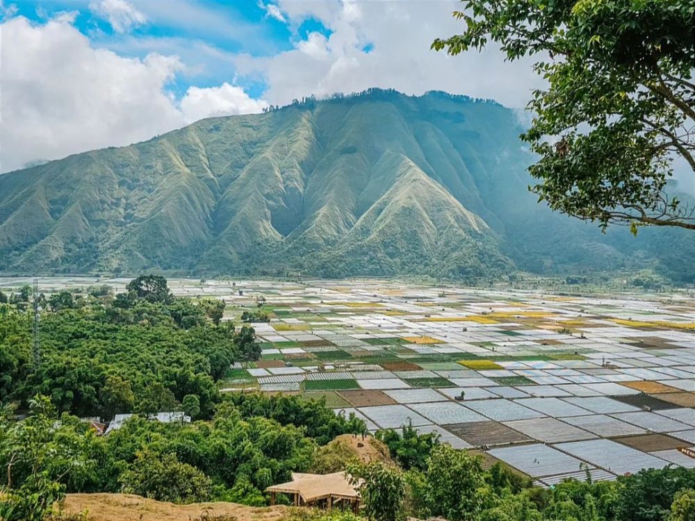 5 Tempat Wisata Di Sembalun Lombok Dengan Panorama Memukau