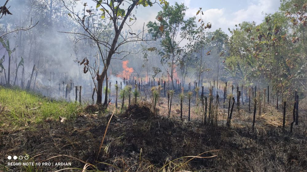 Gegara Bakar Sampah, 2 Hektare Lahan di Bantul Terbakar