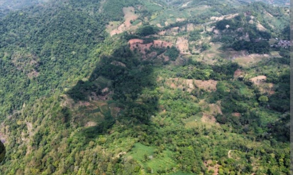 59 Ribu Hektare Kawasan Hutan di Banten Kritis