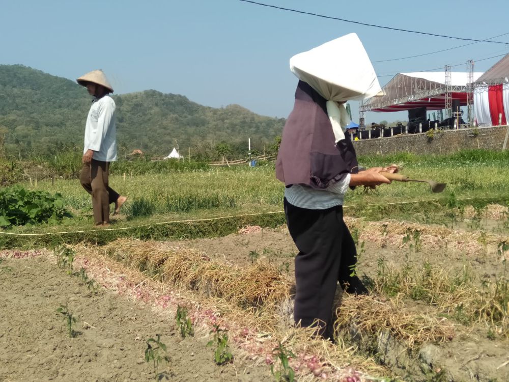 Petani di Parangtritis Bantul Rasakan Manfaat Agro Electrifying