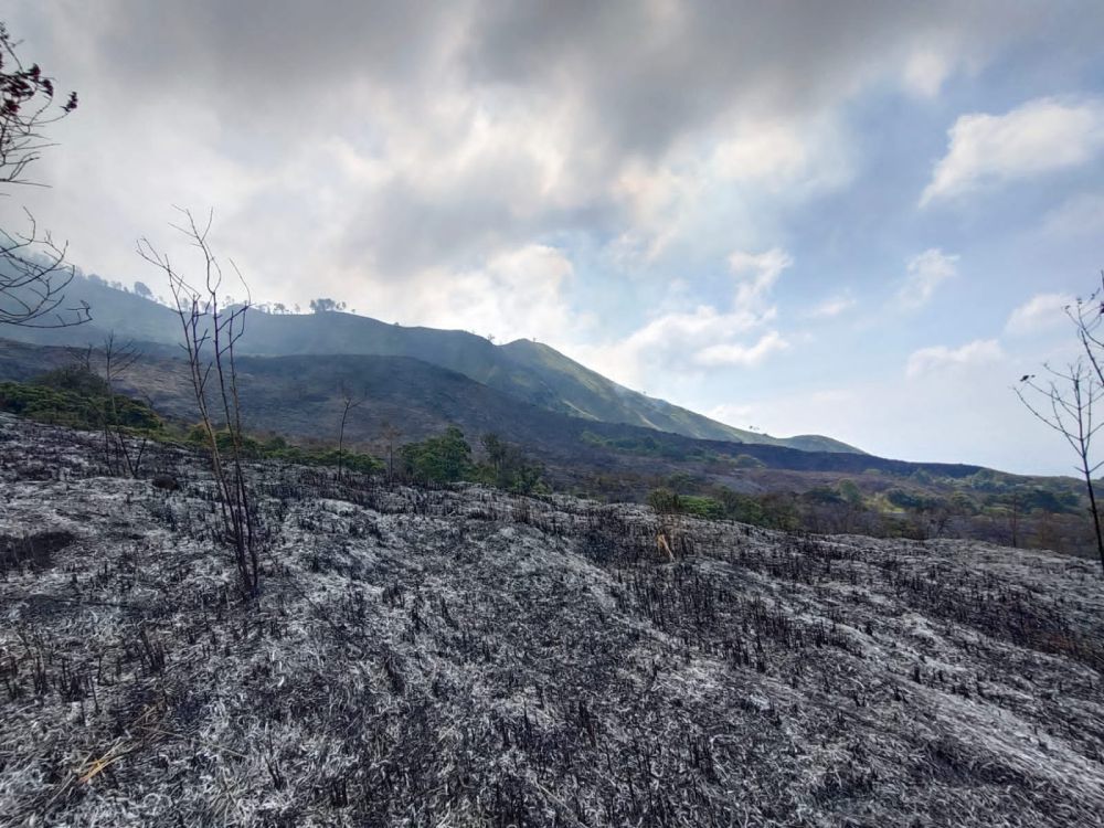 Hutan Gunung Arjuno Kebakaran, Diduga Sengaja Dibakar Pemburu
