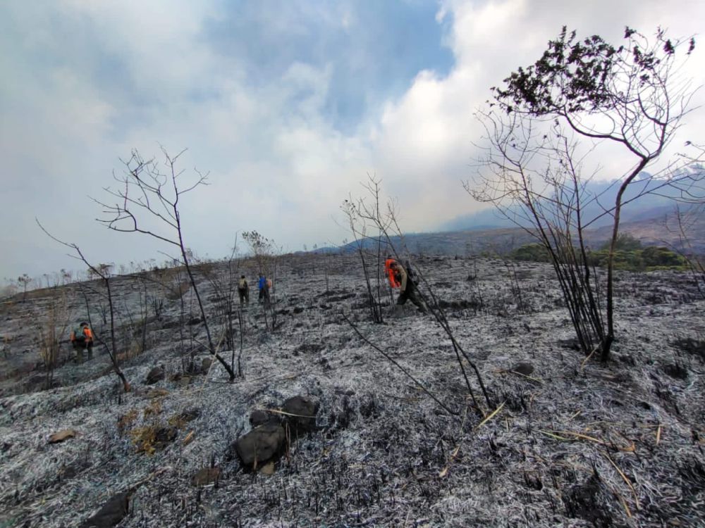 Hutan Gunung Arjuno Kebakaran, Diduga Sengaja Dibakar Pemburu