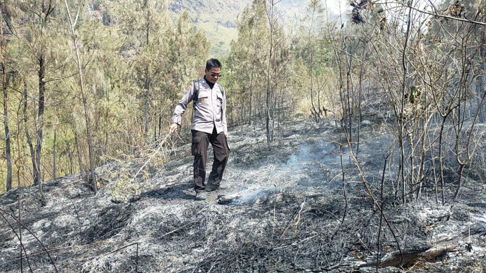 Polisi Kejar Pemburu Liar yang Membakar Hutan Gunung Arjuno