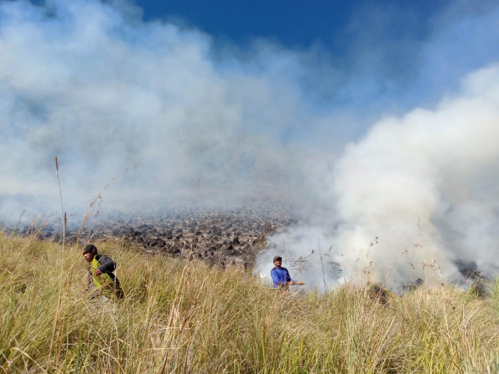 Diduga karena Putung Rokok, Area Jemplang Gunung Bromo Kebakaran