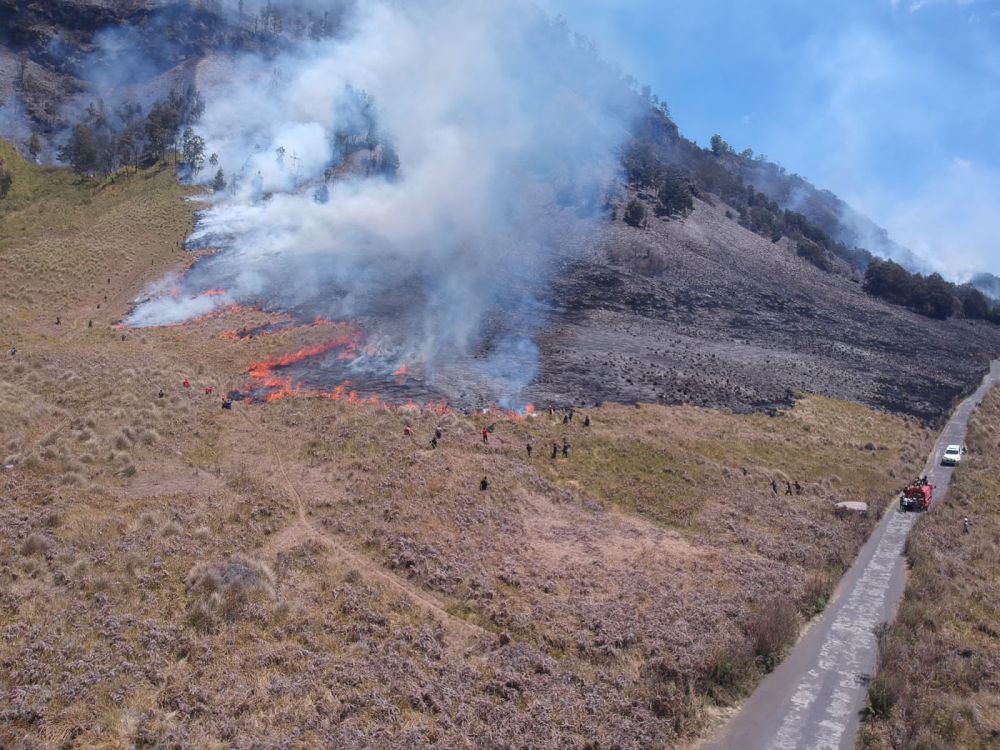 Gunung Bromo Kebakaran, Jumlah Wisatawan Justru Meningkat
