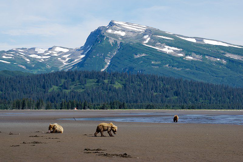 Taman Nasional Paling Terkenal di Alaska