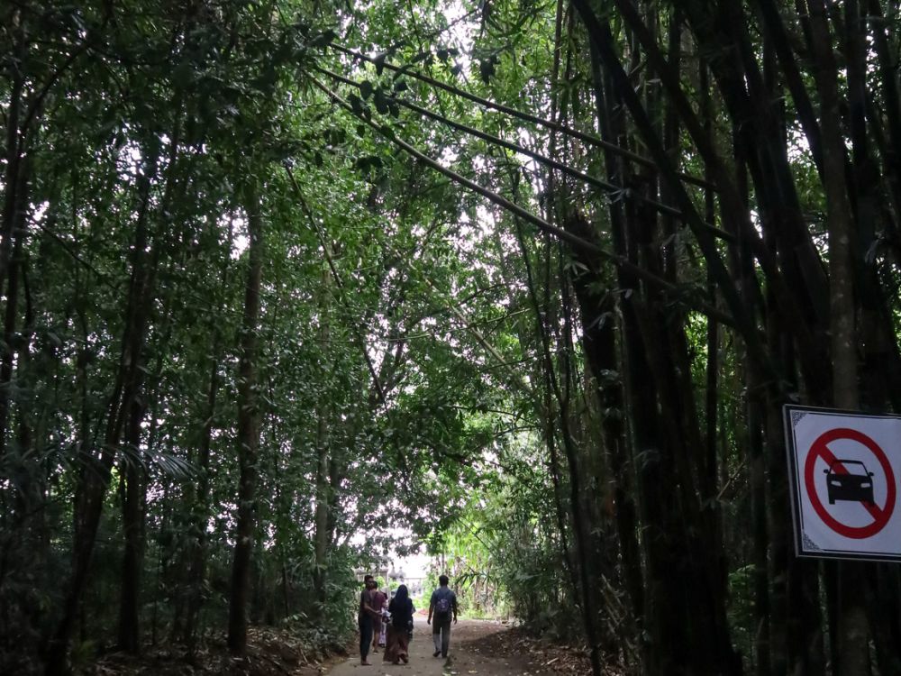 5 Aktivitas Seru di Desa Penglipuran, Ada Spot Hutan Bambu