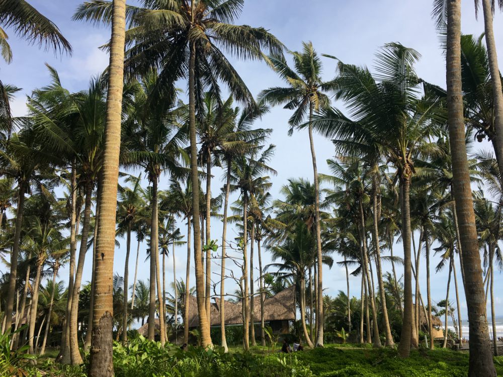 Tiket Masuk Pantai Pasut di Tabanan, Spot Foto Instagenic