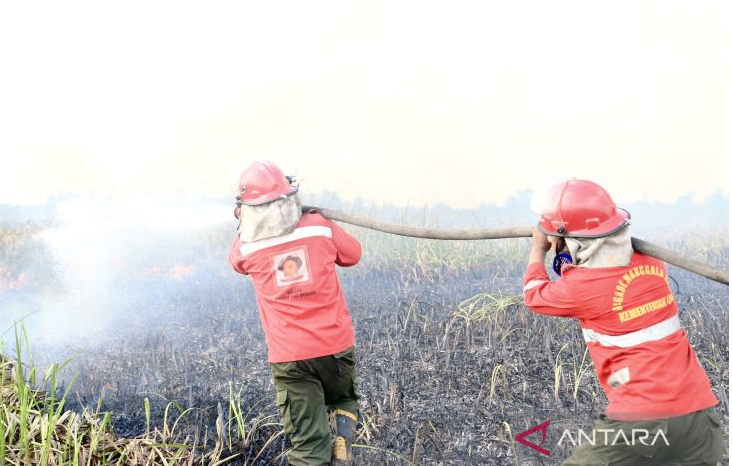 Duh! Musim Kemarau, Sering Kebakaran Ilalang dan Rumput di Semarang