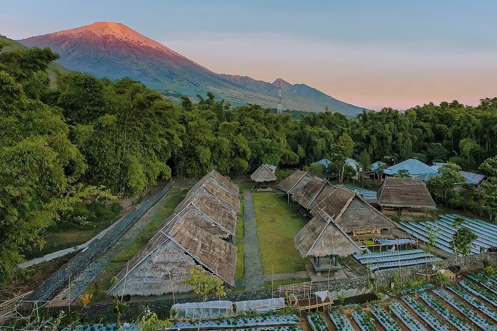 5 Tempat Wisata Di Sembalun Lombok Dengan Panorama Memukau