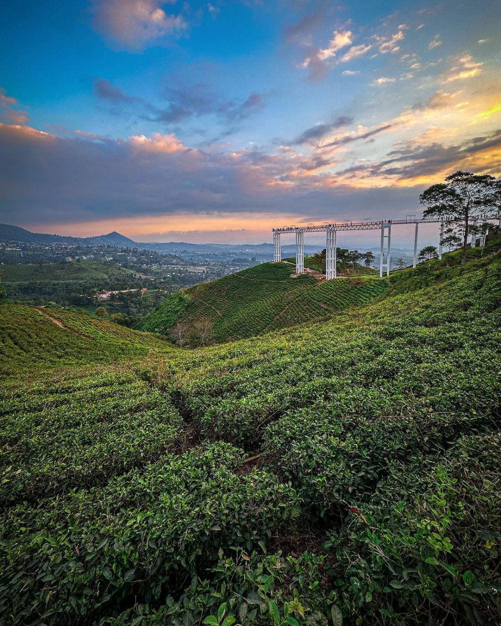 Wisata Kemuning Sky Hills Karanganyar