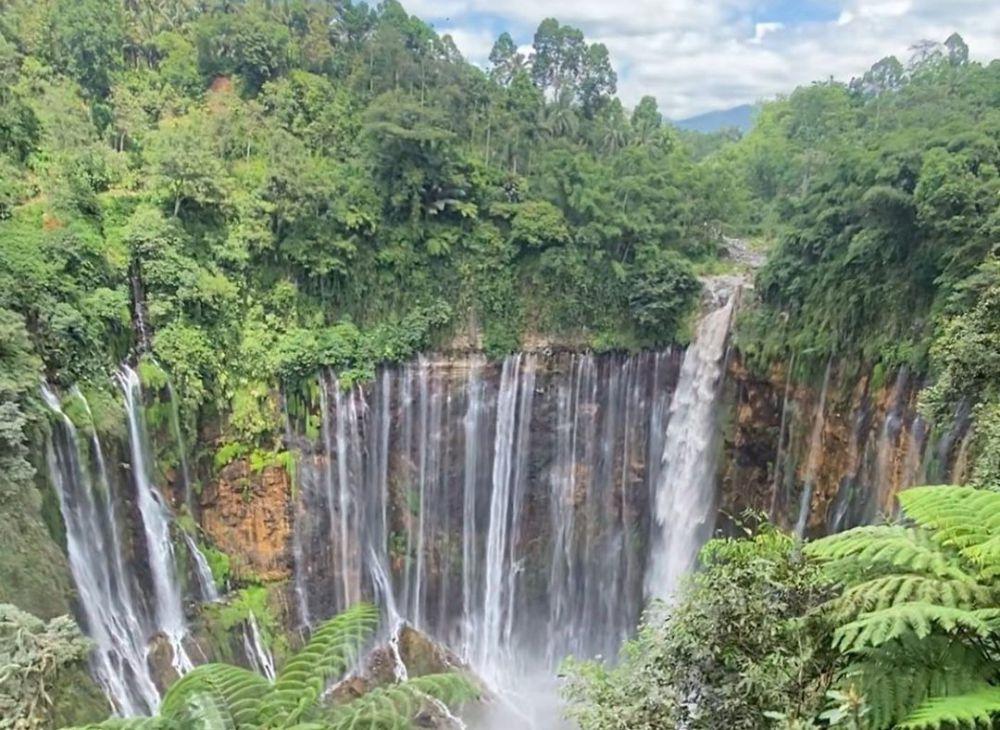 5 Wisata Dataran Tinggi di Lumajang