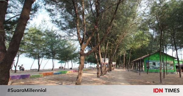 5 Wisata Alam Terbaik Di Tuban Cocok Buat Camping