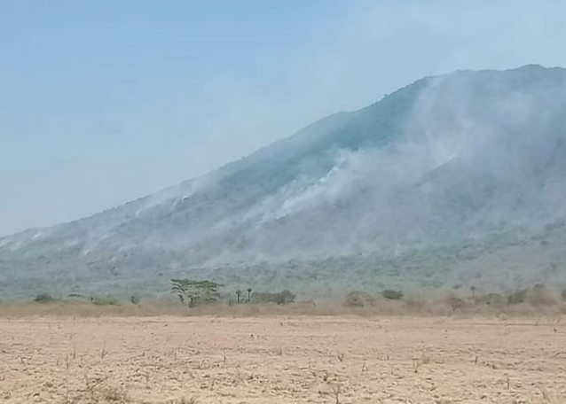 Kebakaran Taman Nasional Baluran Meluas hingga 160 Hektare