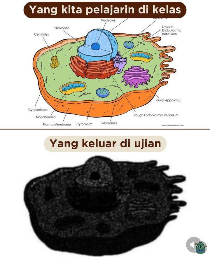 10 Momen Masa Sekolah Zaman Dulu Yang Bikin Nostalgia