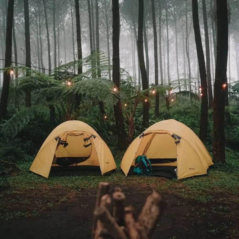 8 Tempat Camping Terbaru di Malang, Akses Mudah Dijangkau!