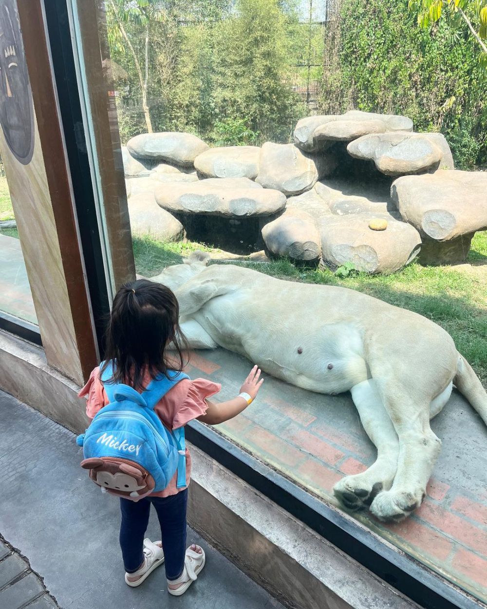 5 Aktivitas Seru di Lembang Park Zoo yang Gak Boleh di-Skip