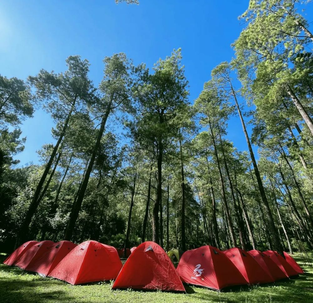 8 Tempat Camping Terbaru di Malang, Akses Mudah Dijangkau!