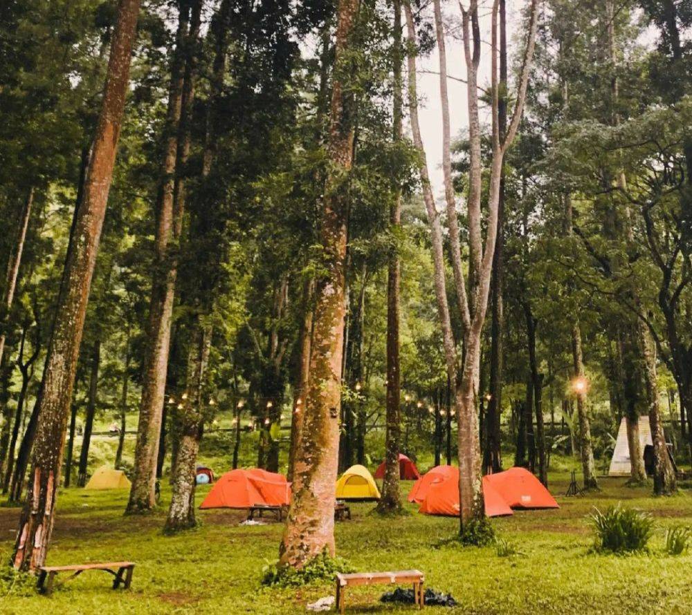 8 Tempat Camping Terbaru di Malang, Akses Mudah Dijangkau!