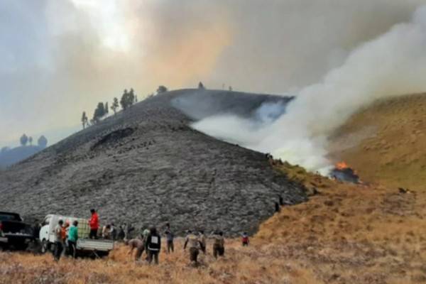 Dampak Kebakaran Gunung Bromo, Ekosistem Alamnya Terganggu