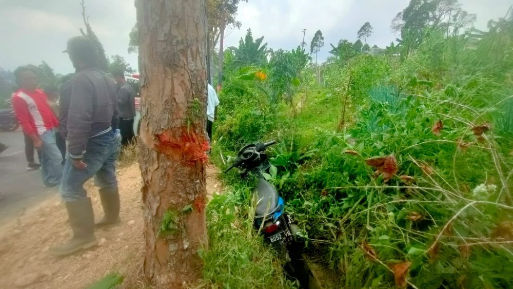 Pulang dari Telaga Sarangan, Dua Pelajar Ngawi Tewas Tabrak Pohon