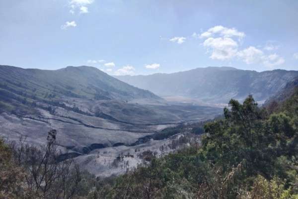 Karhutla Gunung Bromo Diperkirakan Mencapai 500 Hektare