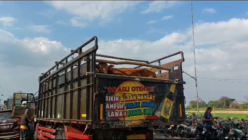 Pengemudi Truk Ekspedisi Tewas Tabrak Bokong Truk Sapi