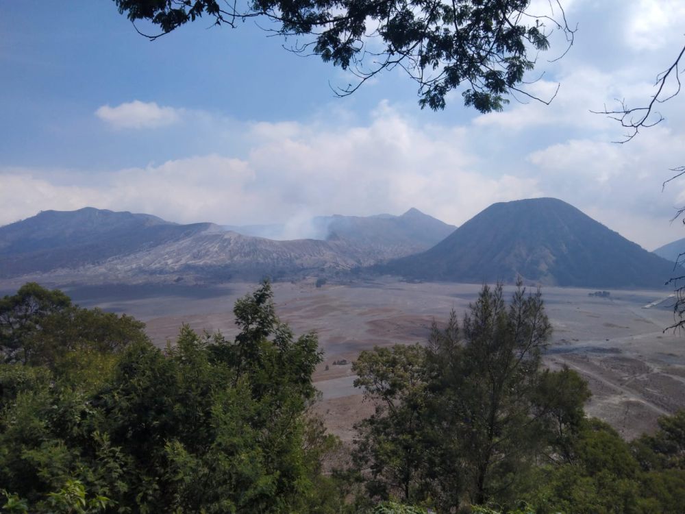 Gunung Bromo Mulai Menghijau Pasca Kebakaran