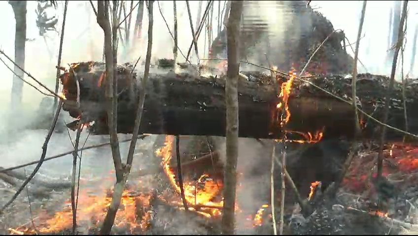 Hutan Gunung Lawu di Jogorogo Ngawi Kembali Terbakar