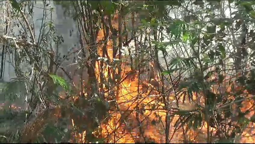 Hutan Gunung Lawu di Jogorogo Ngawi Kembali Terbakar