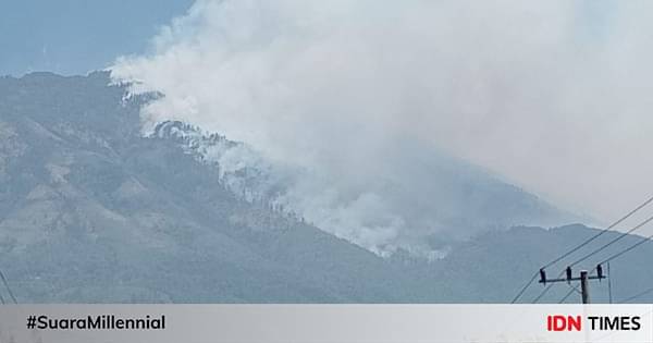 Kebakaran Hebat Kembali Landa Hutan Lereng Gunung Lawu