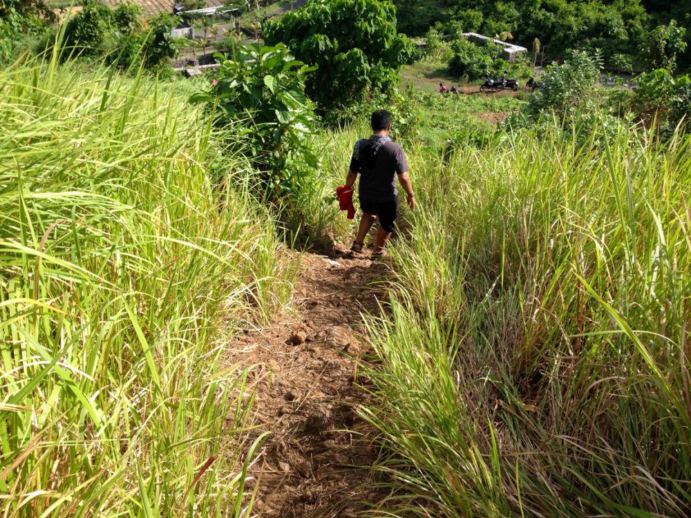 Bukit Belong, Surga Tersembunyi di Kabupaten Klungkung