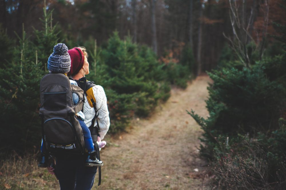 5 Alasan Kenapa Anak-Anak Dilarang Naik Gunung, Orang Tua Wajib Tahu 