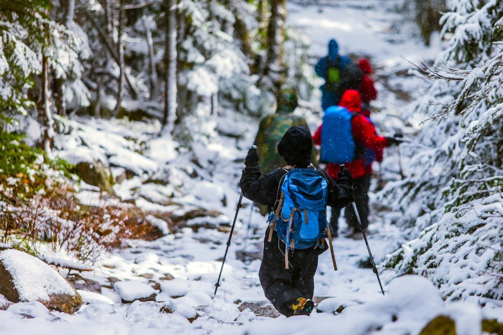 5 Alasan Kenapa Anak-Anak Dilarang Naik Gunung, Orang Tua Wajib Tahu 