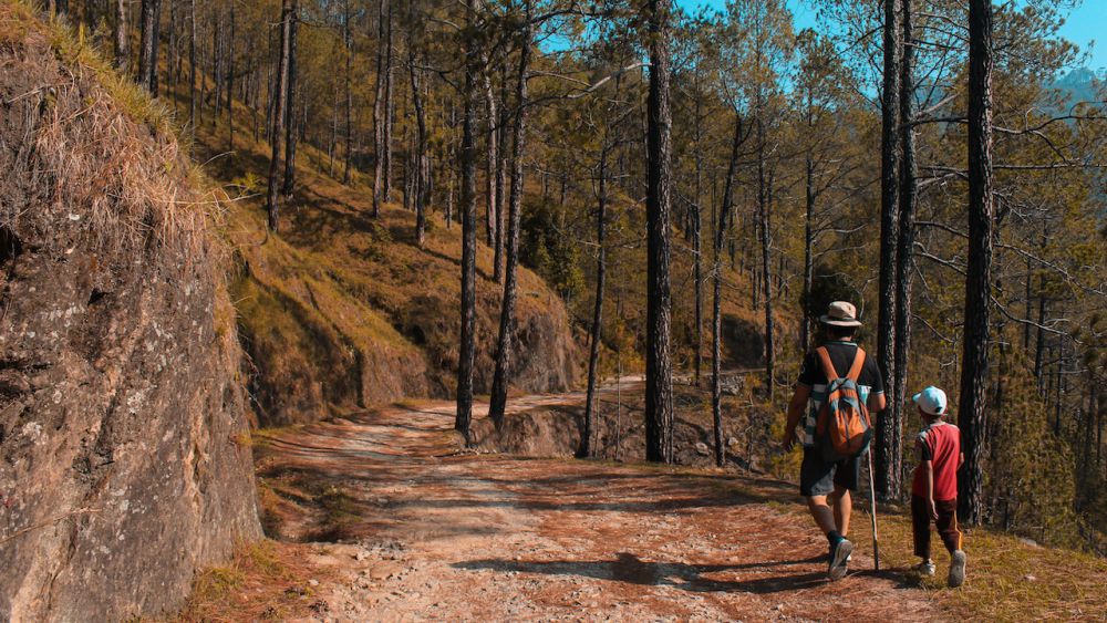 5 Alasan Kenapa Anak-Anak Dilarang Naik Gunung, Orang Tua Wajib Tahu 