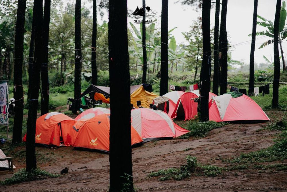 7 Camping Ground Hits di Mojokerto, View Sungai hingga Gunung