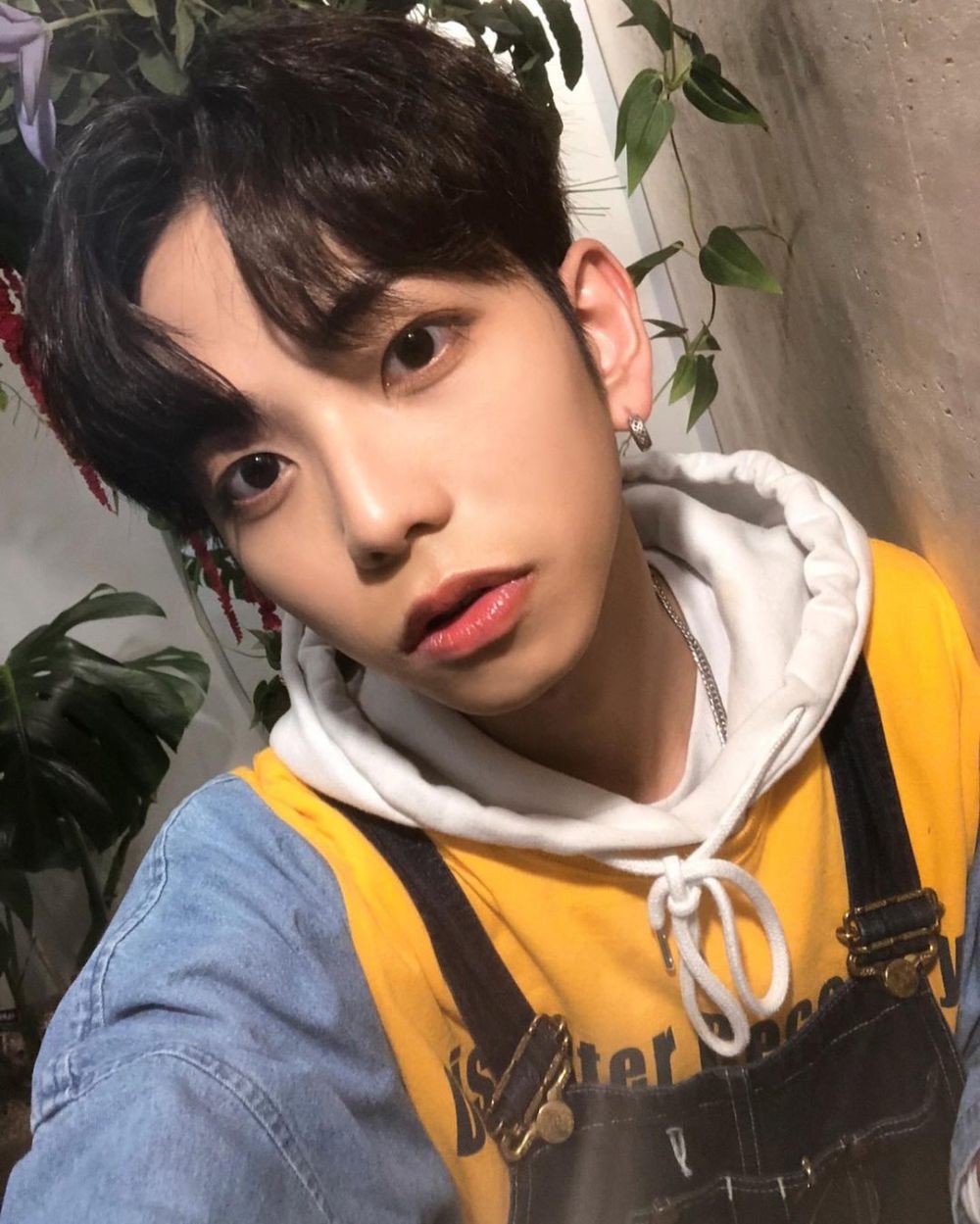 Profil 4 Member TOZ, Alumni Boys Planet yang Debut September