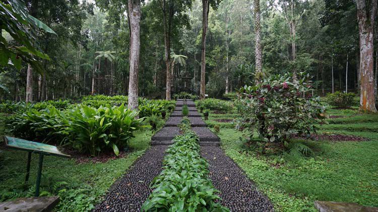 5 Sisi Menarik Kebun Raya Bali, Ada Tumbuhan Hybrid