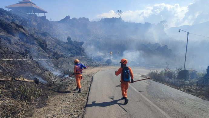 Hutan Geopark Kawah Ijen Terbakar, Dua Hari 20 Hektare Hangus
