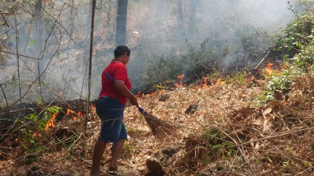 Habitat Satwa di Gunung Budeg Terancam Akibat Kebakaran Hutan