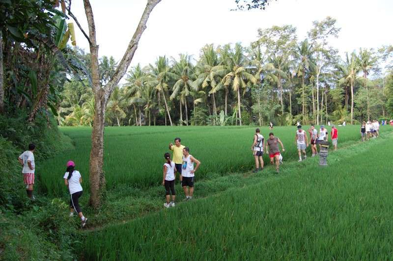 Desa Wisata Mas Pusatnya Seni Ukir Patung Kayu di Bali