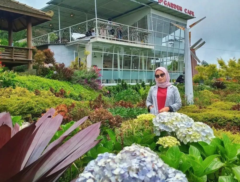 9 Pesona Merapi Garden Selo, Wisata Taman Bunga dengan View Gunung
